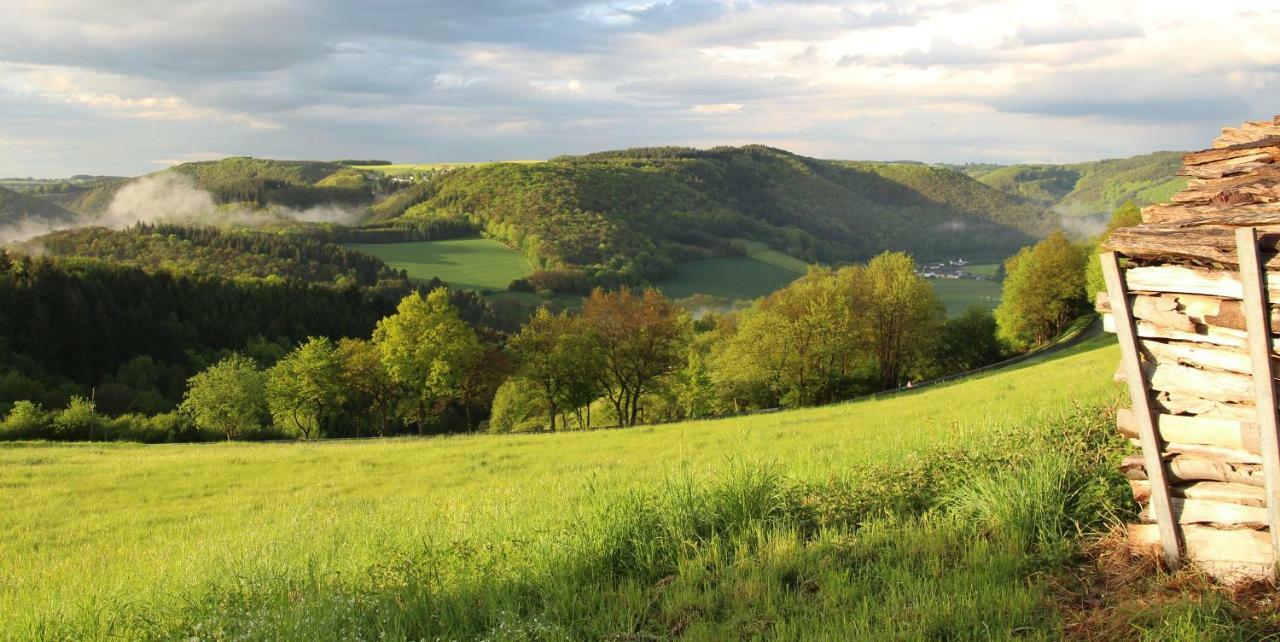 Wiedhoehen Ferienwohnung Roßbach Kültér fotó