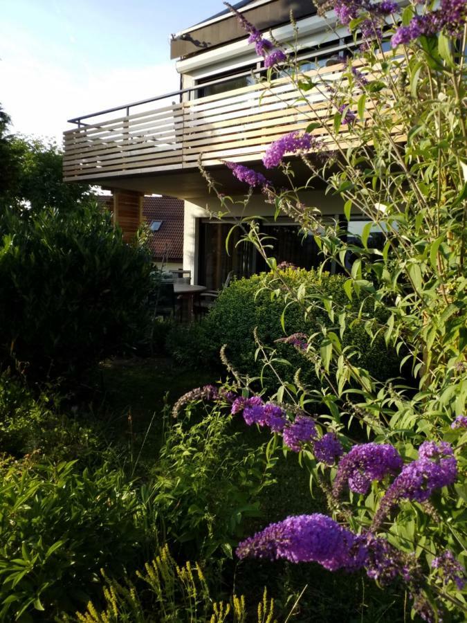 Wiedhoehen Ferienwohnung Roßbach Kültér fotó